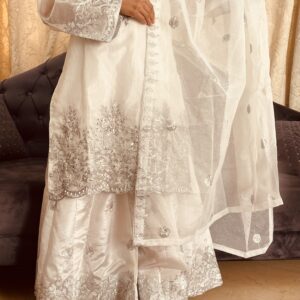 3pc fancy wear